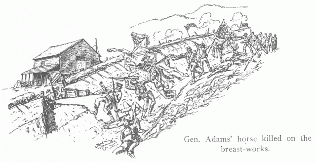 Pen and kink sketch General Adams (CSA) and his horse falling at the barricades before Franklin, after Levi T. Scofield