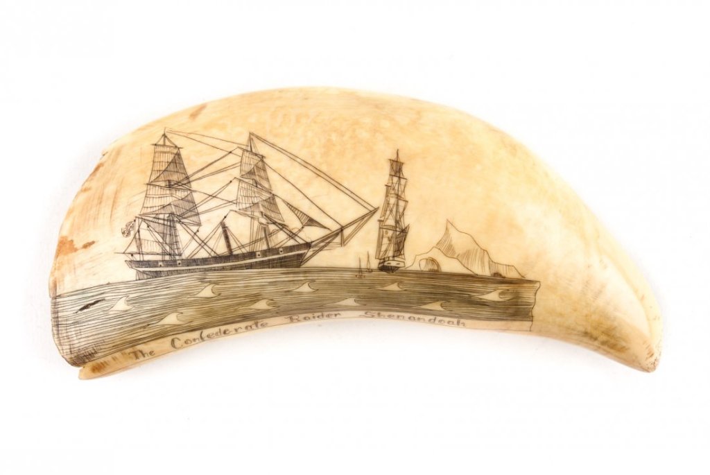 Scrimshaw of the CSS Shenandoah, carved on whalebone sometime in the 1860's.